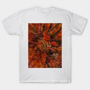 zinnia flower bloom in orange and gold coloured T-Shirt